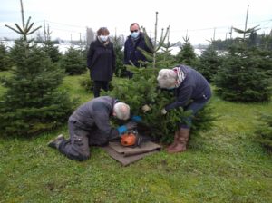 Décembre 2021 – Vente de sapins de Noël